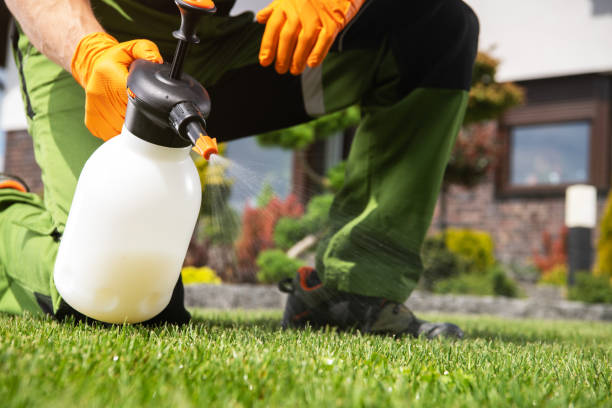 Flea Control Services in Lincoln, AR