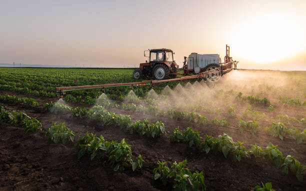 Best Pest Control Cost  in Lincoln, AR