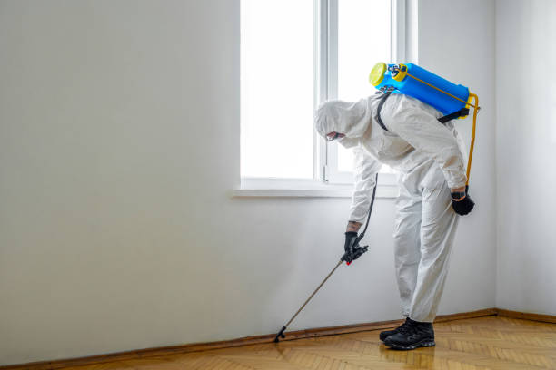 Best Commercial Pest Control Services  in Lincoln, AR