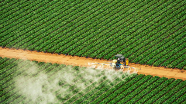Best Pest Control for Homes  in Lincoln, AR