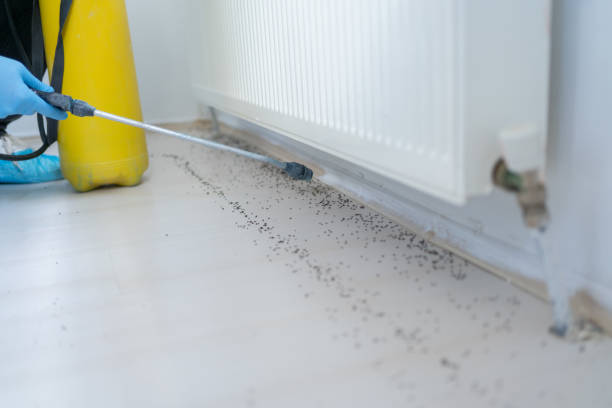 Best Pest Control Near Me in Lincoln, AR