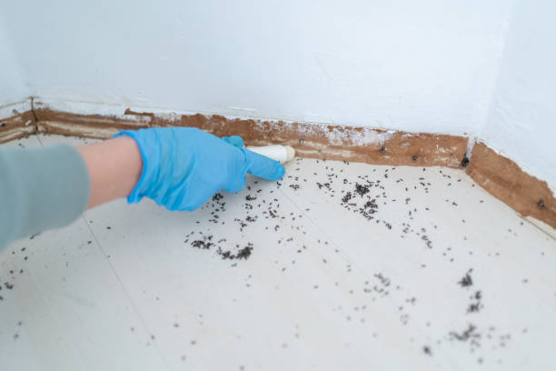 Pest Prevention Services in Lincoln, AR