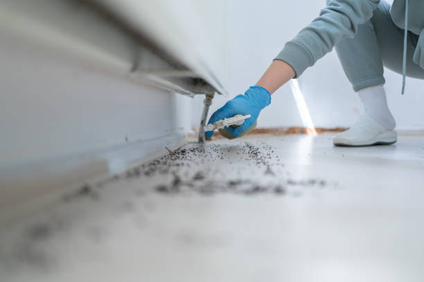 Trusted Lincoln, AR Pest Control Experts