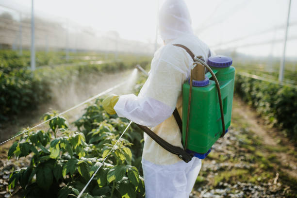 Best Exterminator Services  in Lincoln, AR